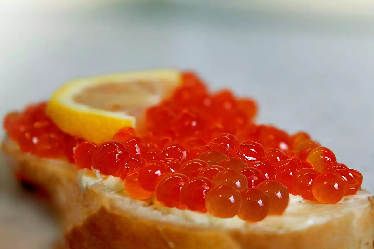 Jak francuskie jedzenie stało się standardem dla smakoszy?